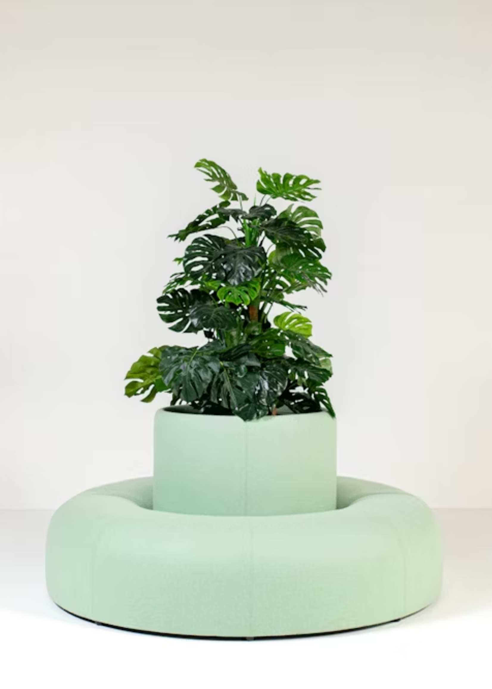 Buzzispace Acoustic BuzziPlanter