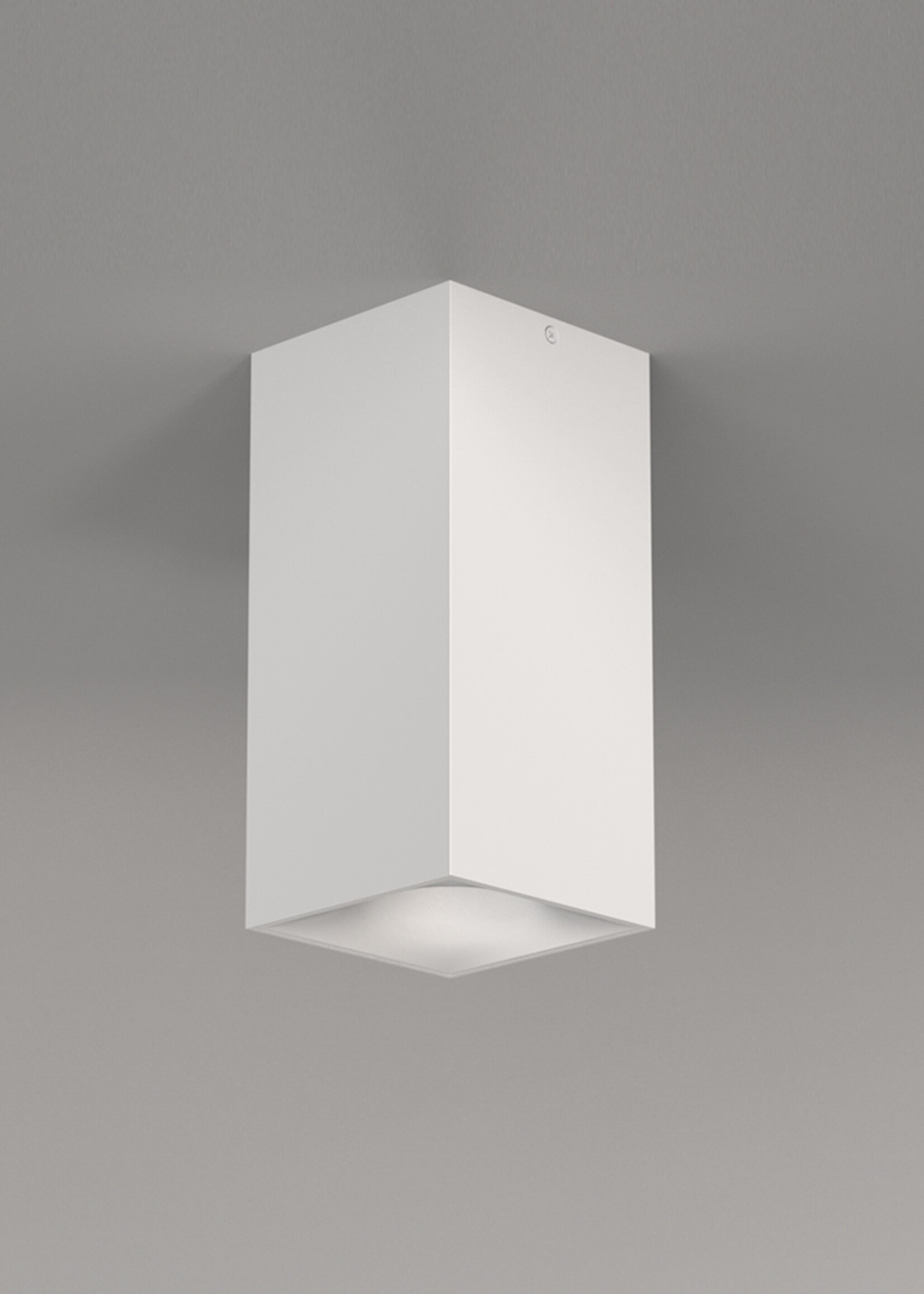 Whitegoods 4 In. ProTools Downlight Square Cylinder