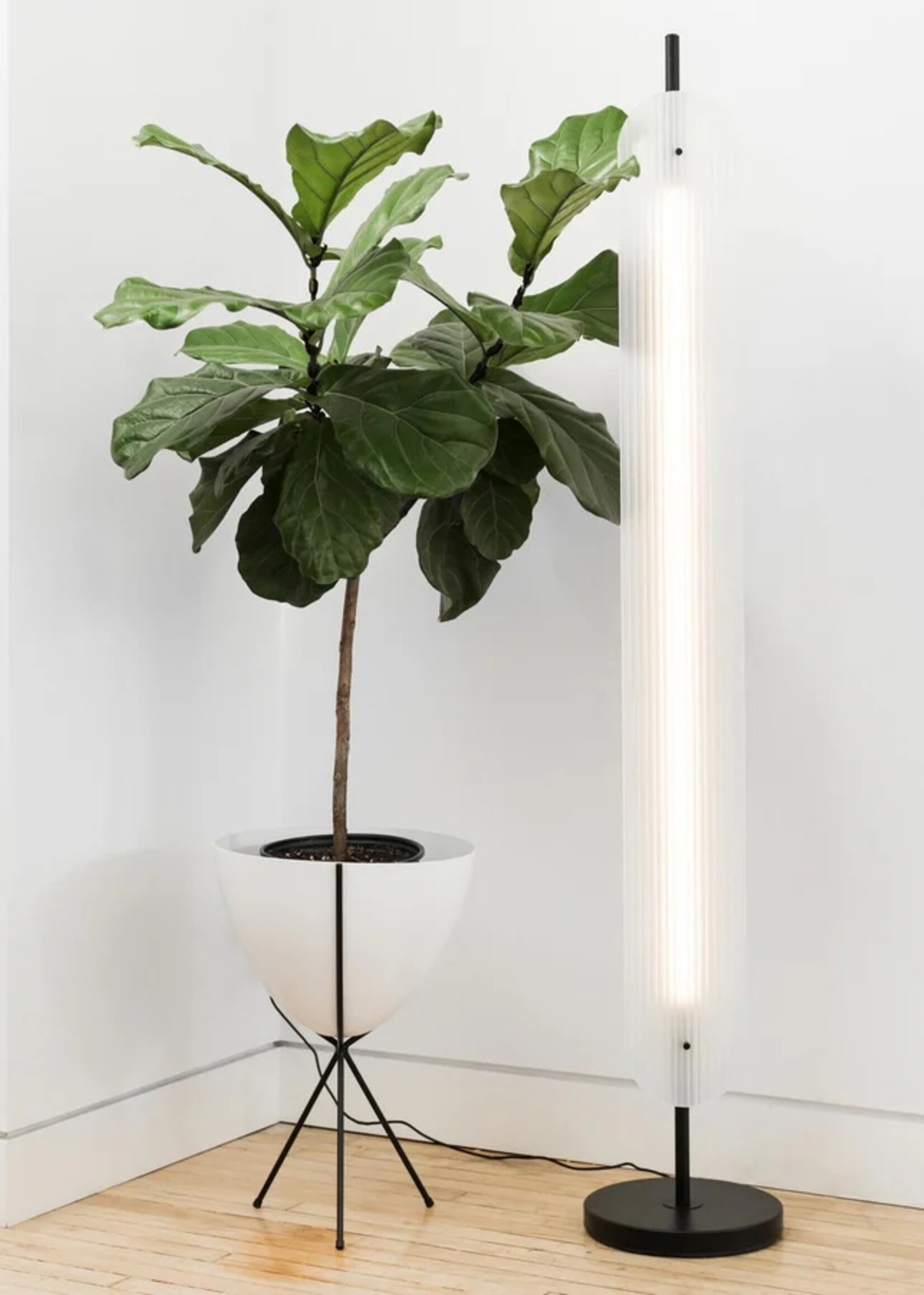 Anony Fount Floor Lamp