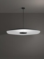 Focal Point Acoustic Polina