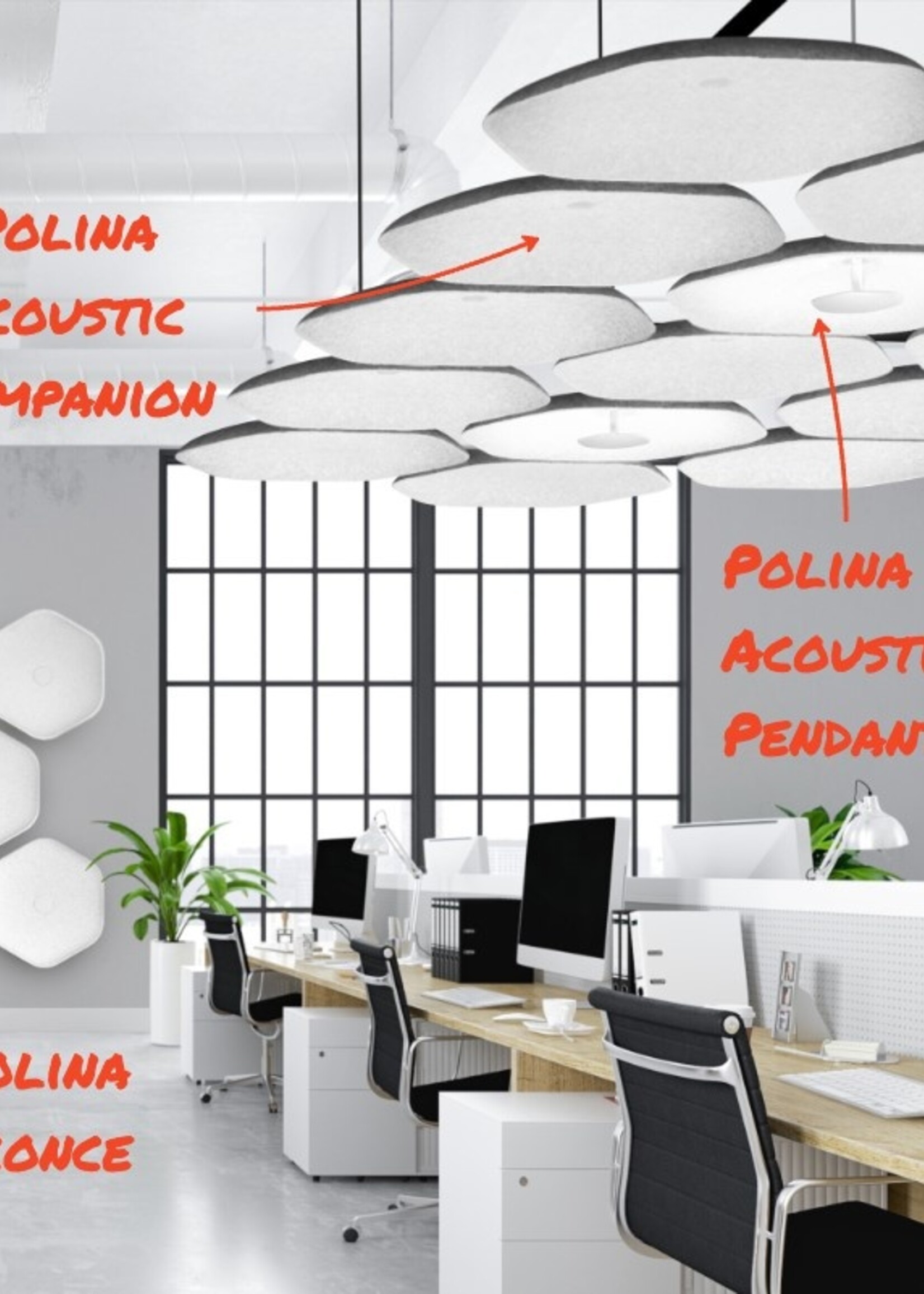 Focal Point Acoustic Polina