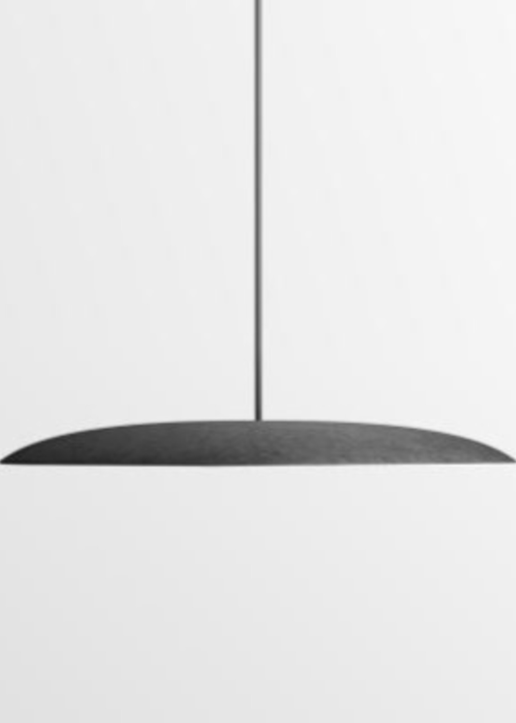 Focal Point Acoustic Polina
