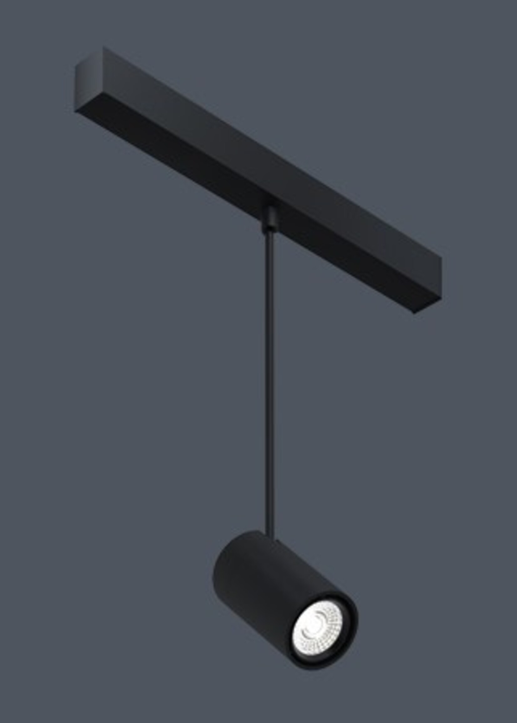 Coronet Magneto Pendant Ajustable