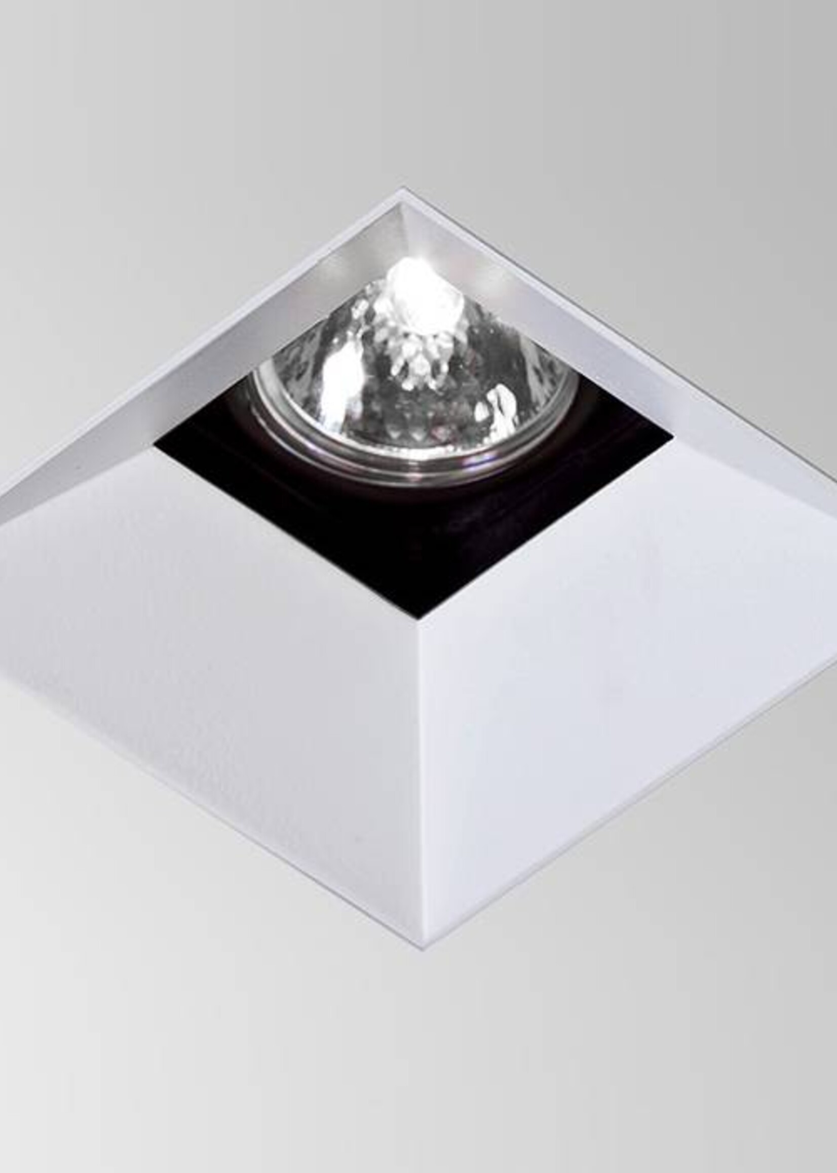 S.L.I. Point Source / Adjustable Down Light #1009