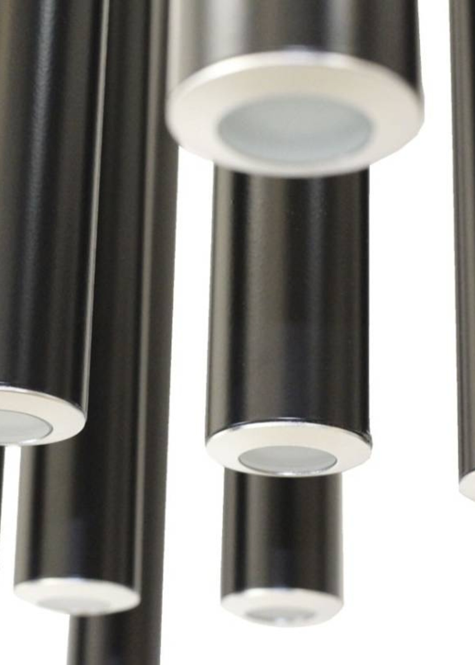 Absolux Lighting Lys CL12