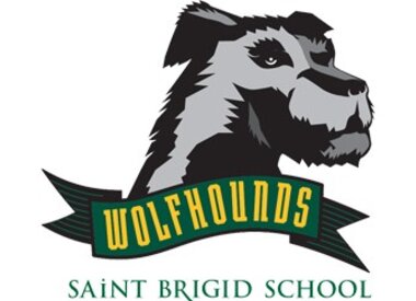 St. Brigid #17