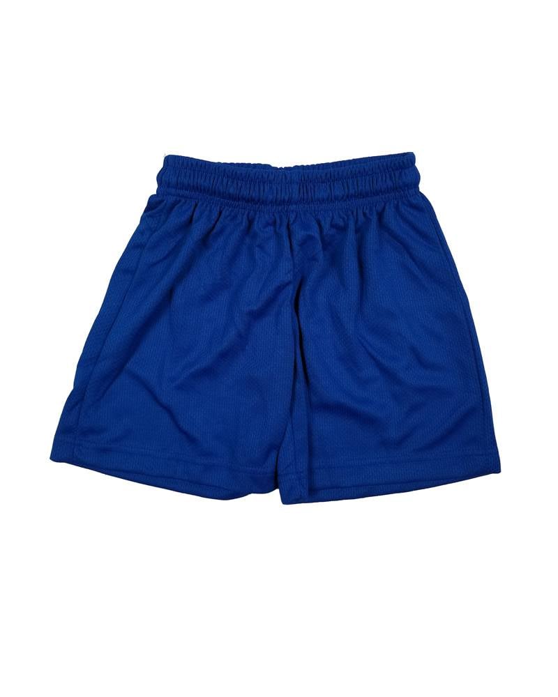 Ramco MICROMESH GYM SHORTS ROYAL