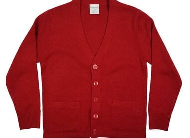 V-NECK CARDIGAN