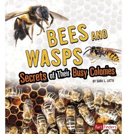 Capstone Bees and Wasps