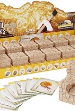 Dig a Dozen Fossil Bricks