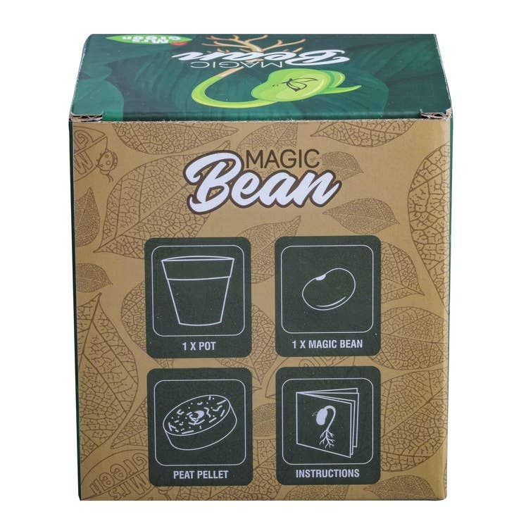 Heebie Jeebies Magic Bean Plant Kit