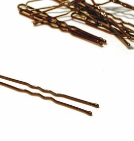 FH2 AZ0029-2 Inch Hair Pin-BROWN