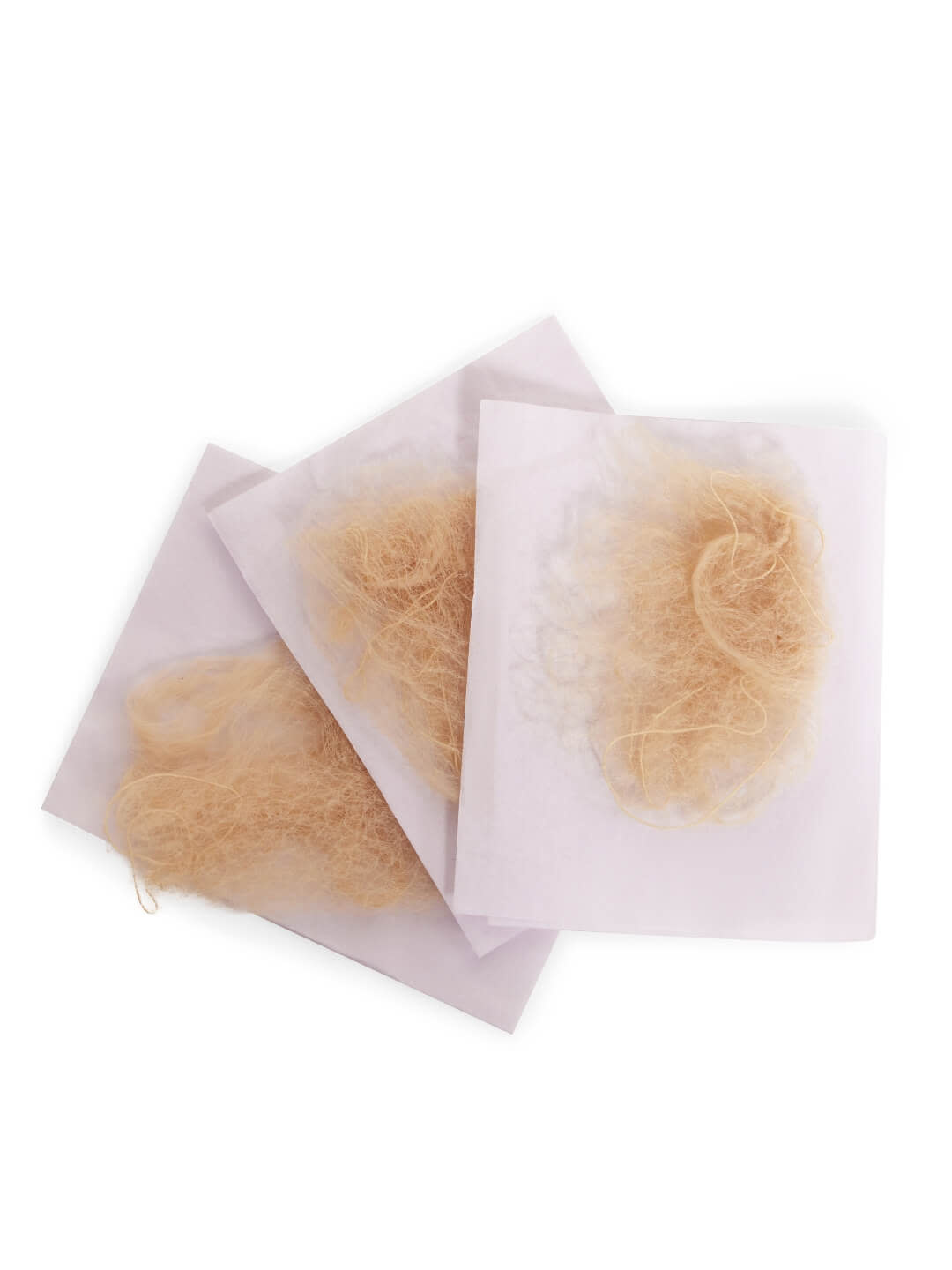 Capezio BH420-Hair Nets-BLONDE