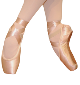 Fuzi FUZI-107-Pointe Shoe