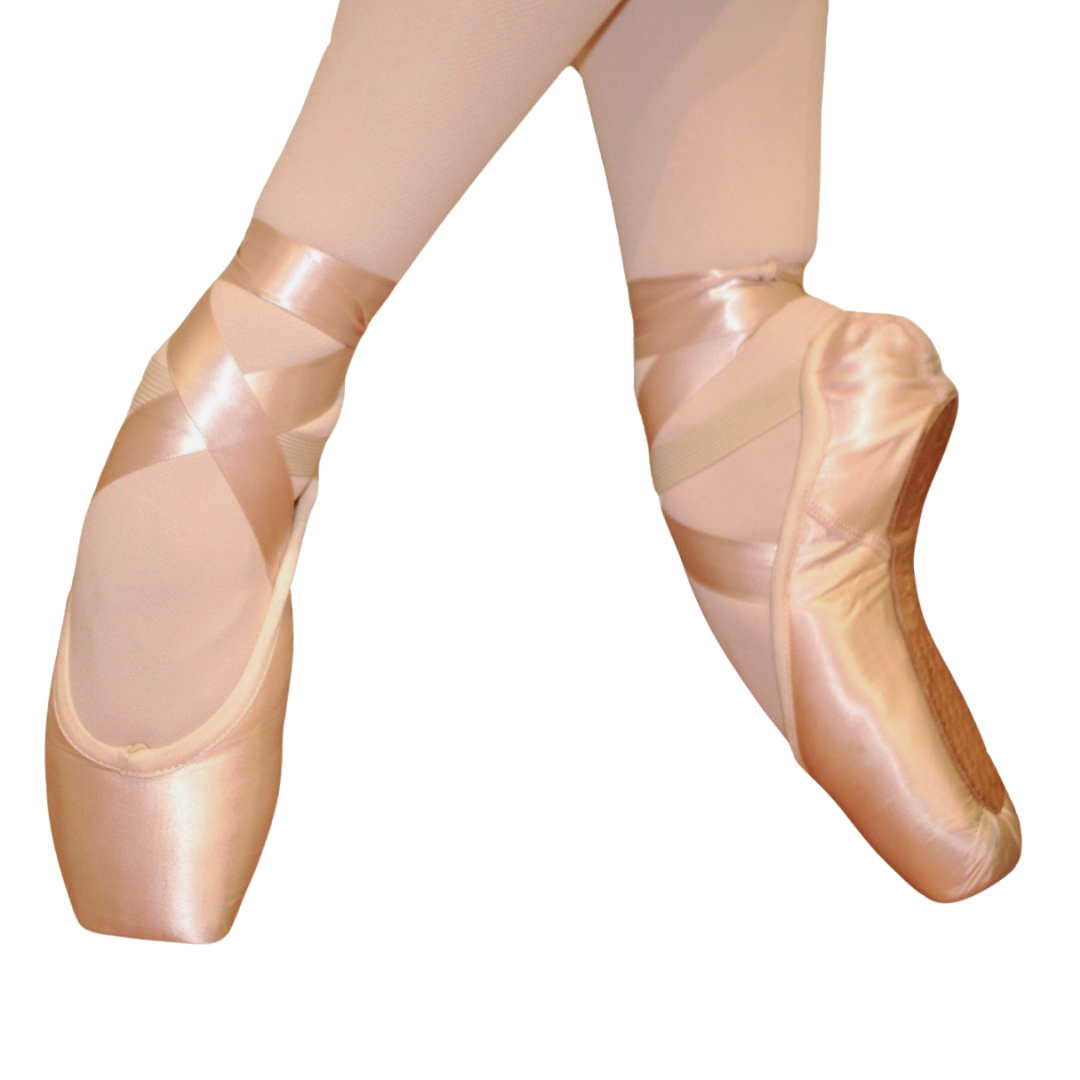 Fuzi FUZI-107-Pointe Shoe