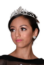 FH2 TR0611-Grand Diadème Décorée