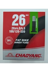 Chaoyang Chaoyang Fat Bike Tube