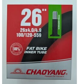 Chaoyang Chaoyang Fat Bike Tube