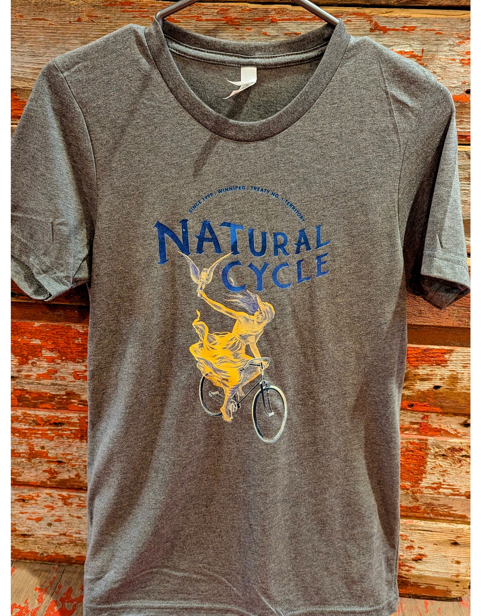 Natural Cycleworks Natural Cycleworks Golden Girl T Shirt Heather Grey