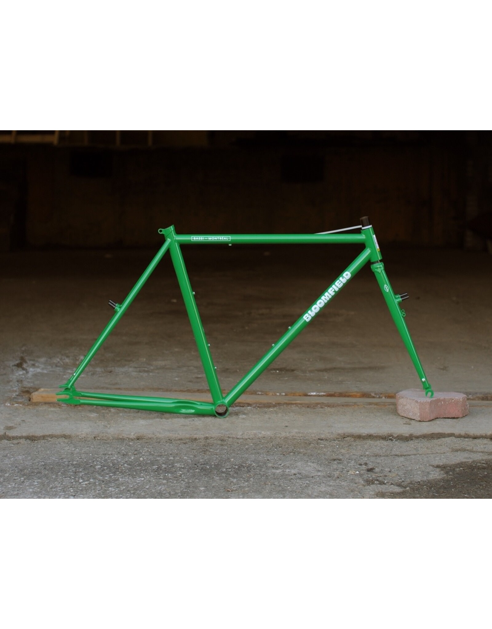 Bassi Bassi Bloomfield V2 Frameset