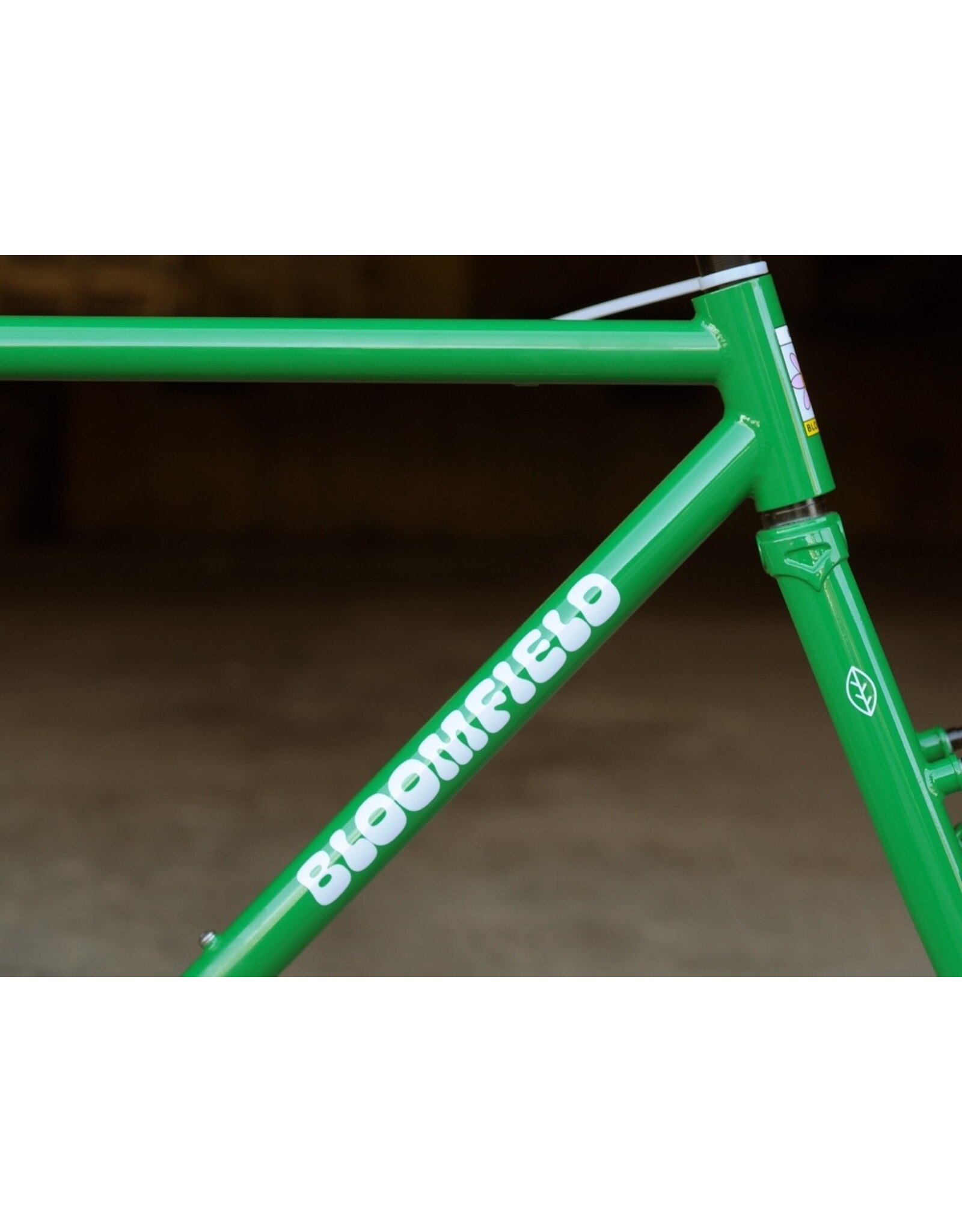 Bassi Bassi Bloomfield V2 Frameset