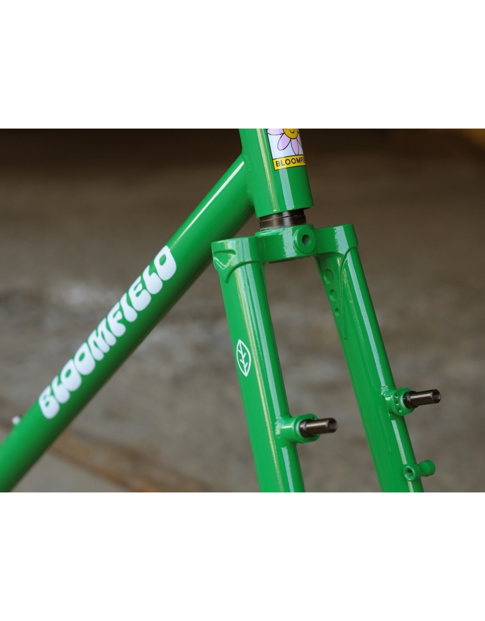 Bassi Bassi Bloomfield V2 Frameset