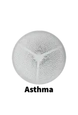 Vapro Nordic Vapro Nordic Asthma Replacement Filter (2 Pack)