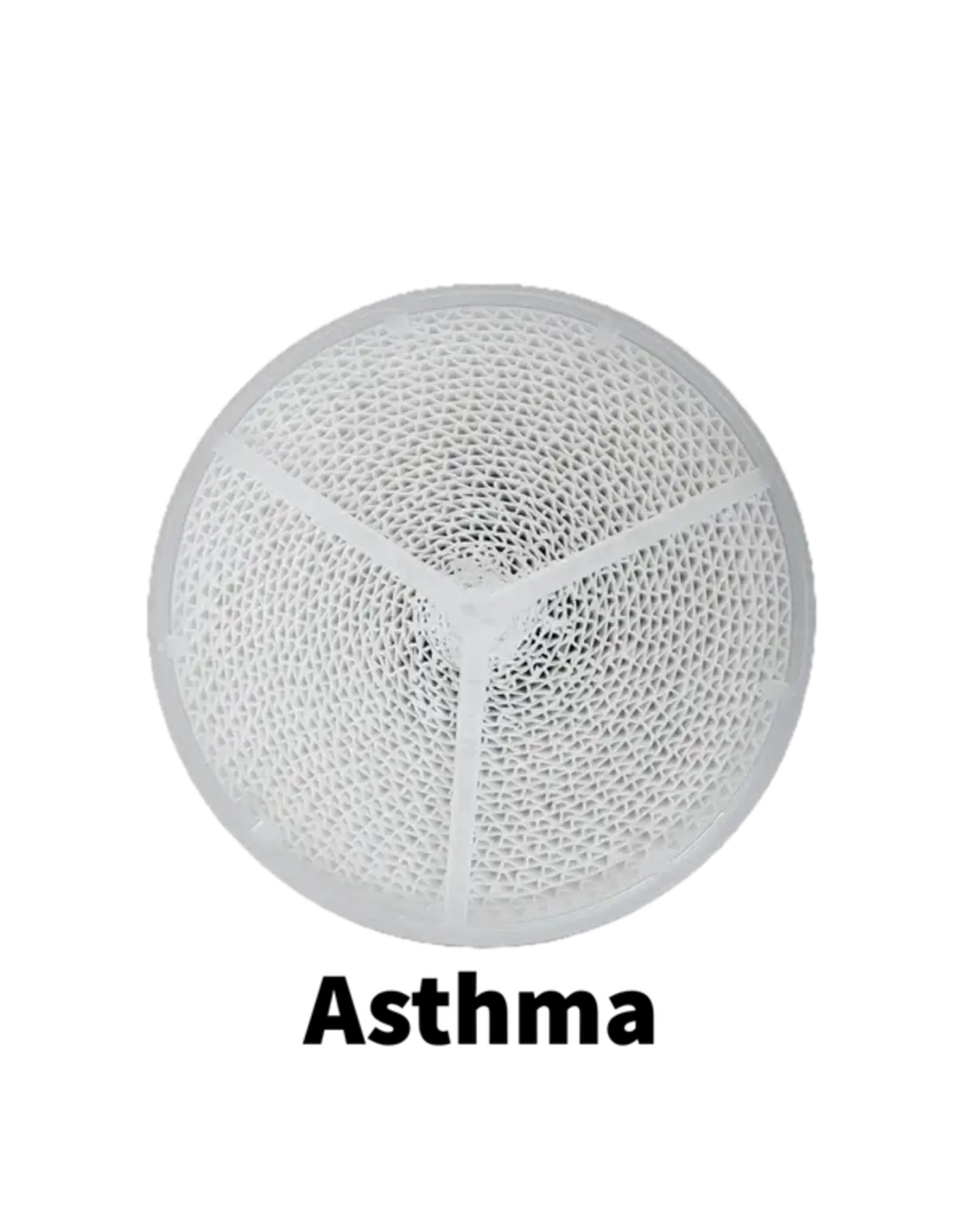 Vapro Nordic Vapro Nordic Asthma Replacement Filter (2 Pack)