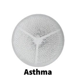 Vapro Nordic Vapro Nordic Asthma Replacement Filter (2 Pack)