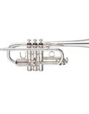 Yamaha Professional Eb/D Trumpet, YTR-6610S