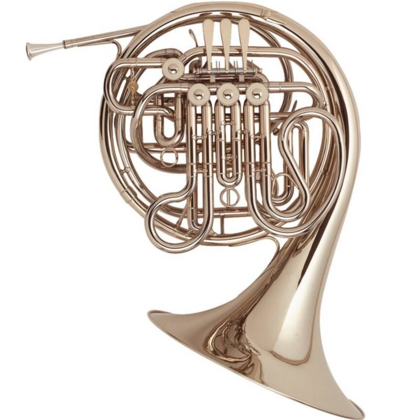 Holton "Farkas" Double French Horn Model H179