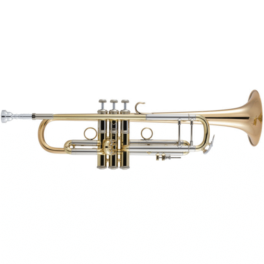 Bach 190L65GV Bb Trumpet