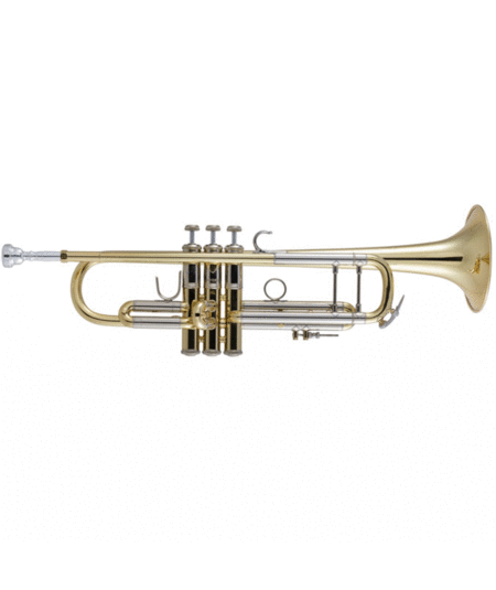 Bach 19037 Stradivarius Series Bb Trumpet