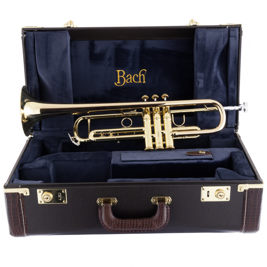 Bach "Apollo" 17043GYR Bb Trumpet