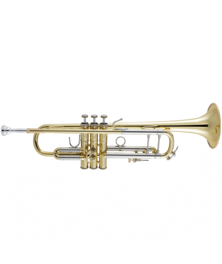 Shinny Brass Vintage Trumpet Pocket Bugle Horn 3 Valve Mouthpiece Best for  Gift -  Canada