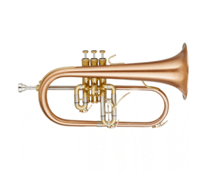 Blessing Blessing BFH-1541T Artist Series Flugelhorn