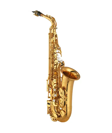 Yamaha Professional Alto Saxophone YAS-875EXII