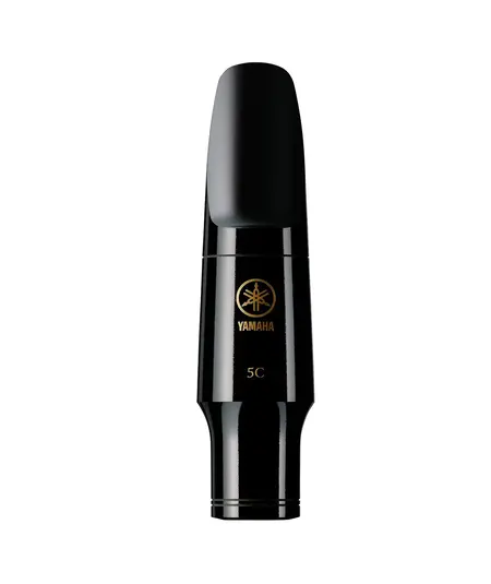 管楽器・吹奏楽器 Dillon Roylance TDCL-E image.jpg