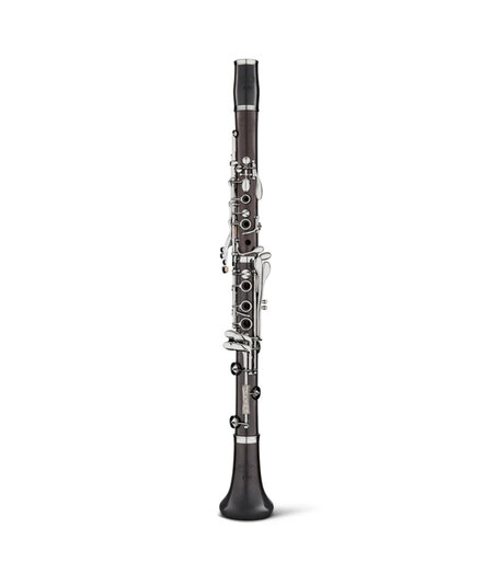 Backun BCLBALPHAG-NKPZ Alpha Plus Bb Clarinet with Backpack style case