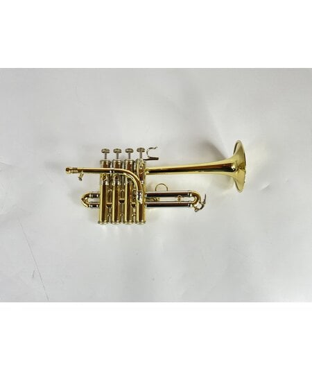 Demo Bach Artisan AP190 Bb/A Piccolo Trumpet (SN: A12367)