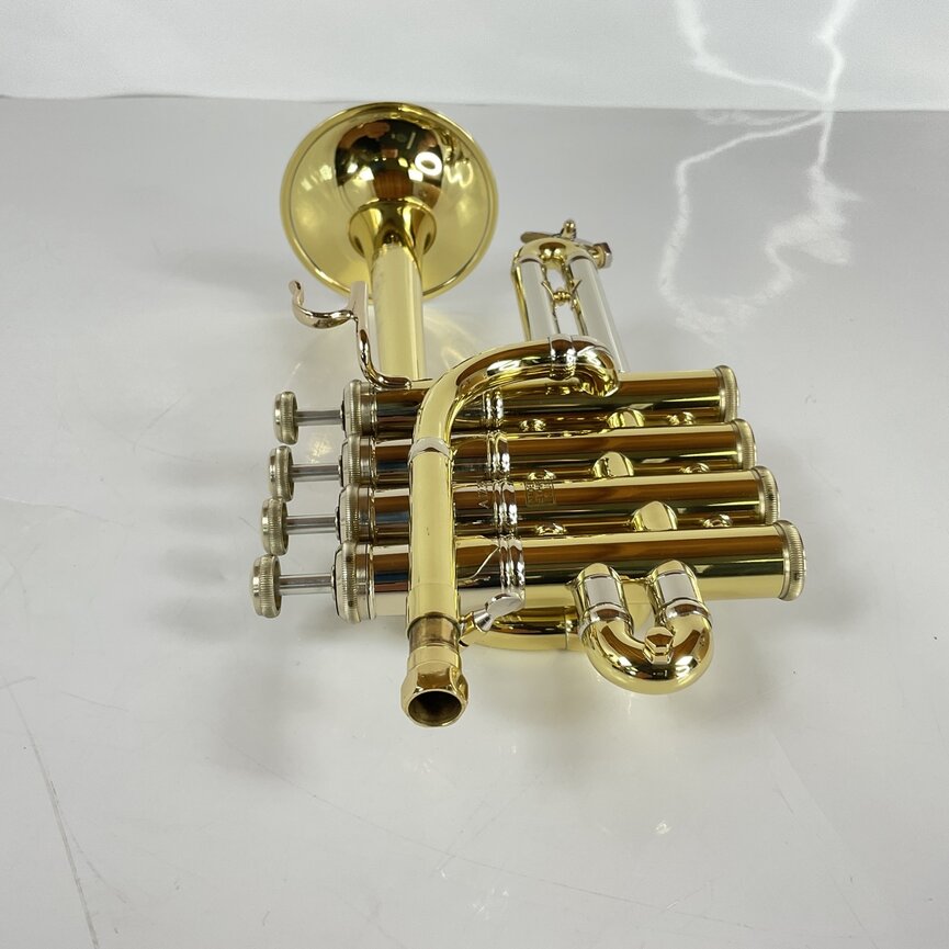 Demo Bach Artisan AP190 Bb/A Piccolo Trumpet (SN: A12367)