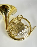 Demo S.E. Shires Q20 F/Bb Double French Horn (SN: G2500007)