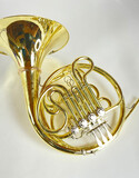 Demo S.E. Shires Q20 F/Bb Double French Horn (SN: G2500274)