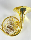 Demo S.E. Shires Q21 F/Bb Double French Horn (SN: G2500047)