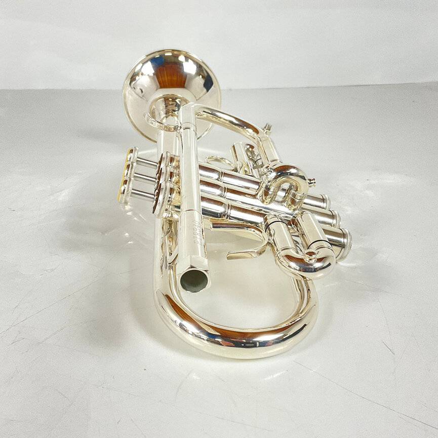 Demo Eastman ETR540S Eb/D Trumpet (SN: 12980787)