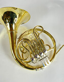 Demo S.E. Shires Q20 F/Bb Double French Horn (SN: G2500003)