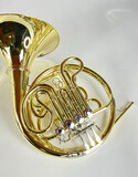 Demo S.E. Shires Q20 F/Bb Double French Horn (SN: G2500272)