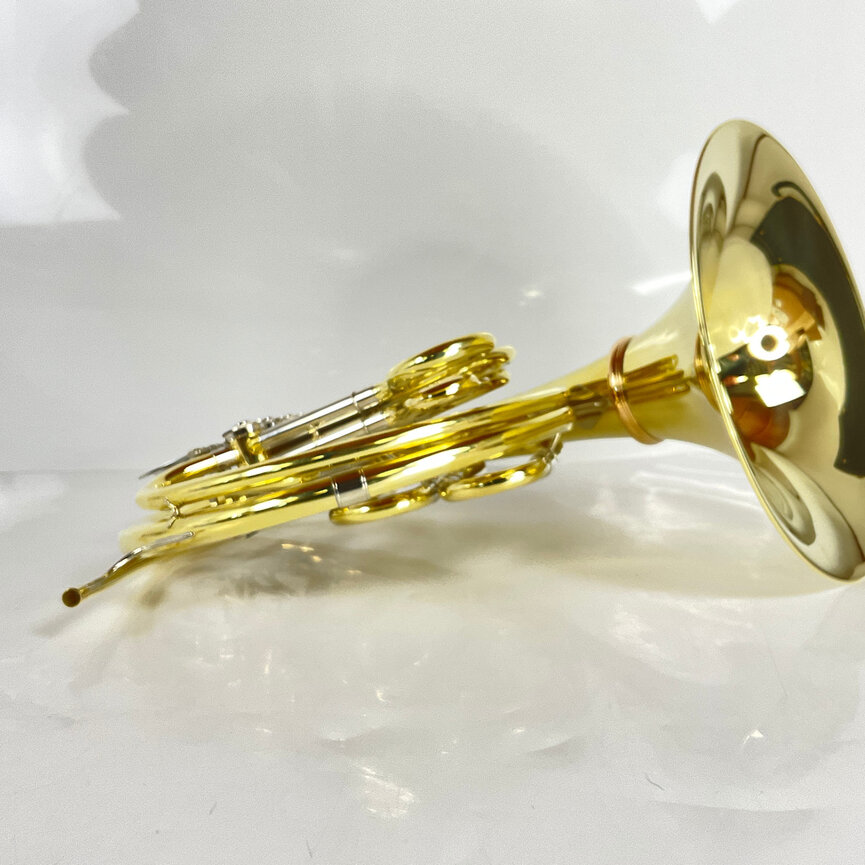 Demo S.E. Shires Q21 F/Bb Double French Horn (SN: G2500235)