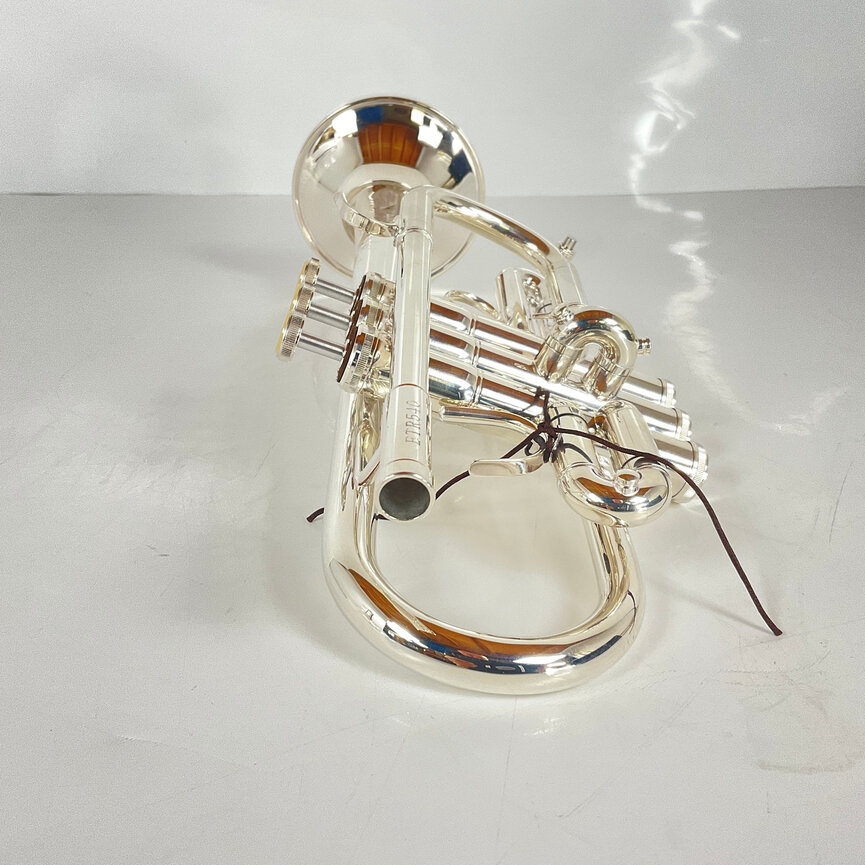 Demo Eastman ETR540S Eb/D Trumpet (SN: F2300890)