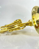 Demo S.E. Shires Q20 F/Bb Double French Horn (SN: G2500017)